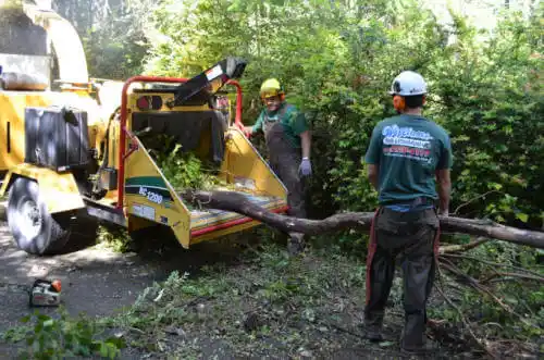 tree services Smoke Rise